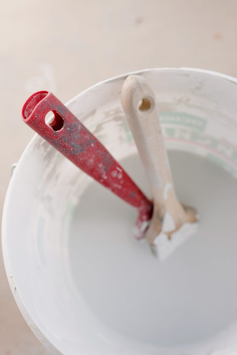 Paintbrushes in plastic container with paint